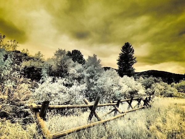 Eggers, Terry 아티스트의 USA-Utah-Infrared of the Logan Pass area with split rai fence작품입니다.